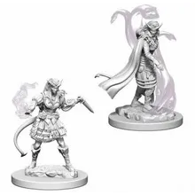 Preporučeni proizvod: D&D Nolzur's marvelous miniatures - Tiefling Female Sorcerer