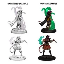 Preporučeni proizvod: D&D Nolzur's marvelous miniatures - Tiefling Female Sorcerer