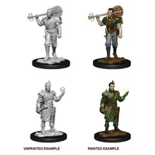 Preporučeni proizvod: D&D Nolzur's Marvelous Miniatures Male Half-Elf Bard