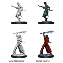 Preporučeni proizvod: D&D Nolzur's marvelous miniatures - Female Human Rogue