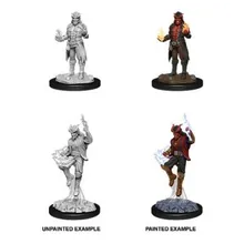 Preporučeni proizvod: D&D Nolzur's Marvelous Miniatures Male Tiefling Sorcerer