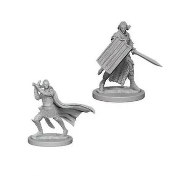 D&D Nolzur's marvelous miniatures - Male Elf Paladin - slika proizvoda pod brojem: 1