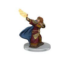 Preporučeni proizvod: DD5 Icons Premium Mini Dwarf Female Wizard