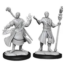 Preporučeni proizvod: D&D Nolzur's Mini Half-Elf Male Wizard