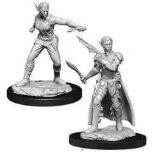 Preporučeni proizvod: D&D Nolzur's Marvelous Miniatures Shifter Female Rogue