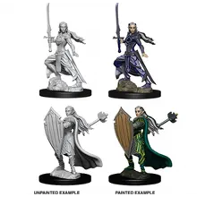 Preporučeni proizvod: D&D Nolzur's marvelous miniatures - Female Elf Paladin