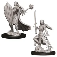 Preporučeni proizvod: D&D Nolzur's marvelous miniatures - Female Elf Paladin