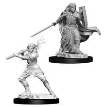 Preporučeni proizvod: D&D Nolzur's marvelous miniatures Female Human Paladin WZK73830