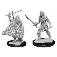 Preporučeni proizvod: Pathfinder Deepcuts Elf Male Fighter