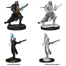 Preporučeni proizvod: Pathfinder Elf Male Magus