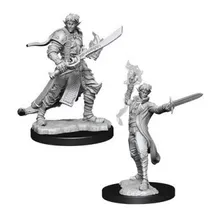 Preporučeni proizvod: Pathfinder Elf Male Magus