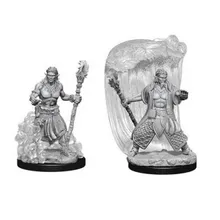 Preporučeni proizvod: D&D Nolzur's marvelous miniatures - Water Genasi Male Druid