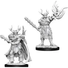 Preporučeni proizvod: Pathfinder D-cut Male Half-orc Druid Minis