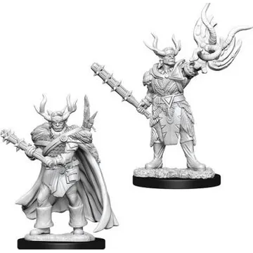 Pathfinder D-cut Male Half-orc Druid Minis - slika proizvoda pod brojem: 1