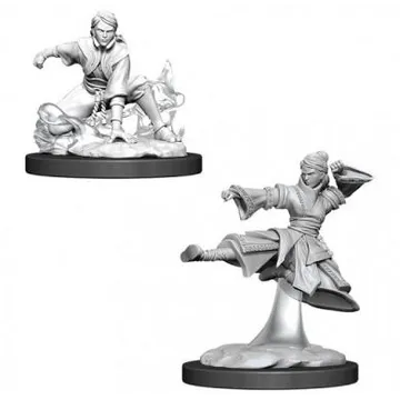 D&D Nolzur's Marvelous Miniatures Human Female Monk WZK90008 - slika proizvoda pod brojem: 1