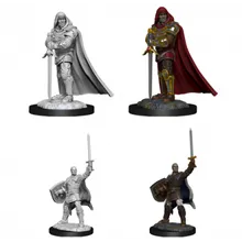 Recommended product: D&D Nolzur's Marvelous Miniatures Human Male Paladin WZK90136