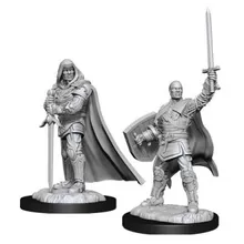 Recommended product: D&D Nolzur's Marvelous Miniatures Human Male Paladin WZK90136