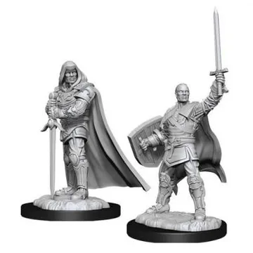 D&D Nolzur's Marvelous Miniatures Human Male Paladin WZK90136 - image of product number: 1