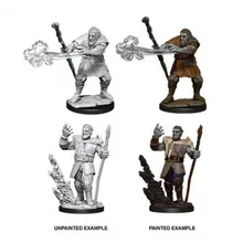 Preporučeni proizvod: D&D Nolzur's Marvelous Miniatures Firbolg Male Druid