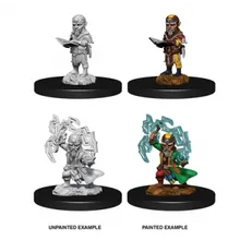 Preporučeni proizvod: Pathfinder Male Gnome Sorcerer