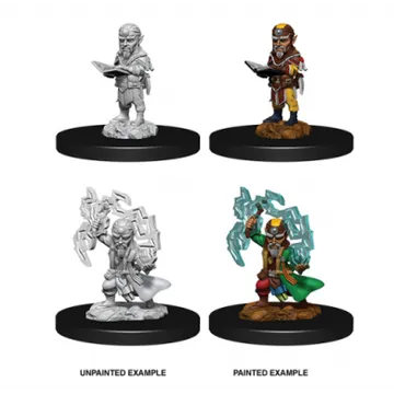 Pathfinder Male Gnome Sorcerer - slika proizvoda pod brojem: 1