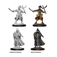 Preporučeni proizvod: D&D Nolzur's Marvelous Miniatures Elf Male Paladin WZK73707