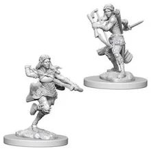 Preporučeni proizvod: D&D Nolzur's marvelous miniatures - Air Genasi Female Rogue