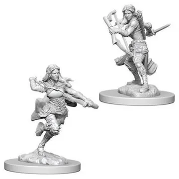 D&D Nolzur's marvelous miniatures - Air Genasi Female Rogue - slika proizvoda pod brojem: 1