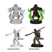 Preporučeni proizvod: D&D Nolzur's Marvelous Miniatures Human Male Druid WZK72639