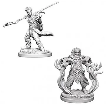 D&D Nolzur's Marvelous Miniatures Human Male Druid WZK72639 - image of product number: 1