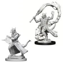 Preporučeni proizvod: D&D Nolzur's marvelous miniatures - Tiefling Male Sorcerer Minis